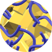 Polymer Solid Electrolyte